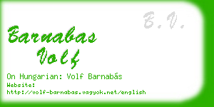 barnabas volf business card