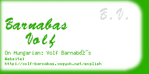 barnabas volf business card